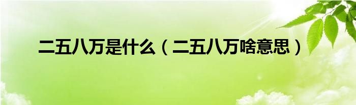 二五八万是什么（二五八万啥意思）
