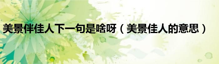 美景伴佳人下一句是啥呀（美景佳人的意思）