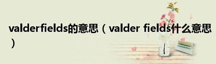 valderfields的意思（valder fields什么意思）