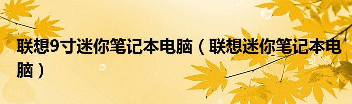 联想9寸迷你笔记本电脑（联想迷你笔记本电脑）