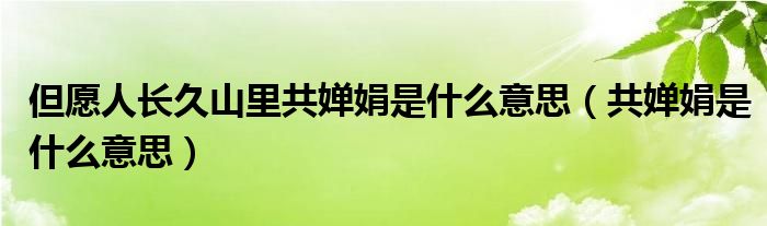 但愿人长久山里共婵娟是什么意思（共婵娟是什么意思）