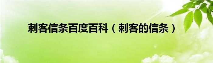 刺客信条百度百科（刺客的信条）
