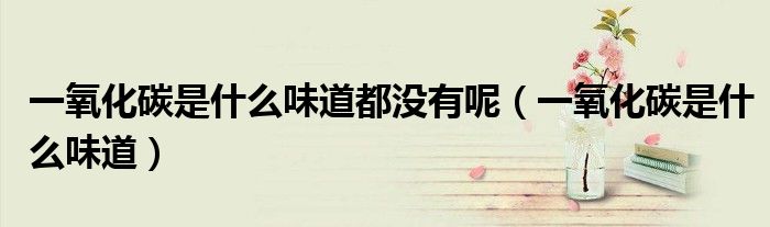 一氧化碳是什么味道都没有呢（一氧化碳是什么味道）