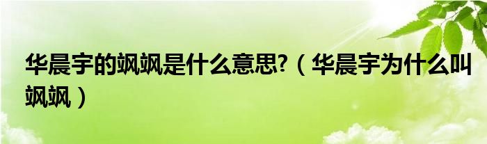 华晨宇的飒飒是什么意思?（华晨宇为什么叫飒飒）