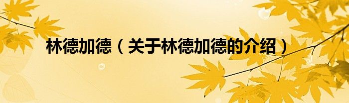 林德加德（关于林德加德的介绍）