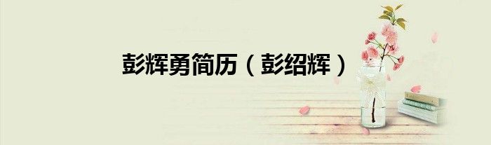 彭辉勇简历（彭绍辉）