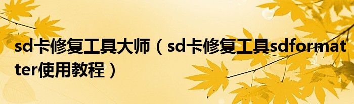 sd卡修复工具大师（sd卡修复工具sdformatter使用教程）