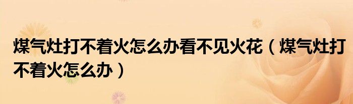 煤气灶打不着火怎么办看不见火花（煤气灶打不着火怎么办）