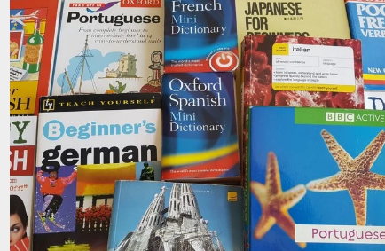 基于语法的扎根词典学习