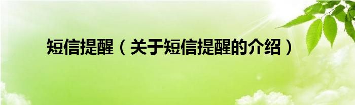 短信提醒（关于短信提醒的介绍）