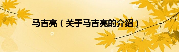 马吉亮（关于马吉亮的介绍）
